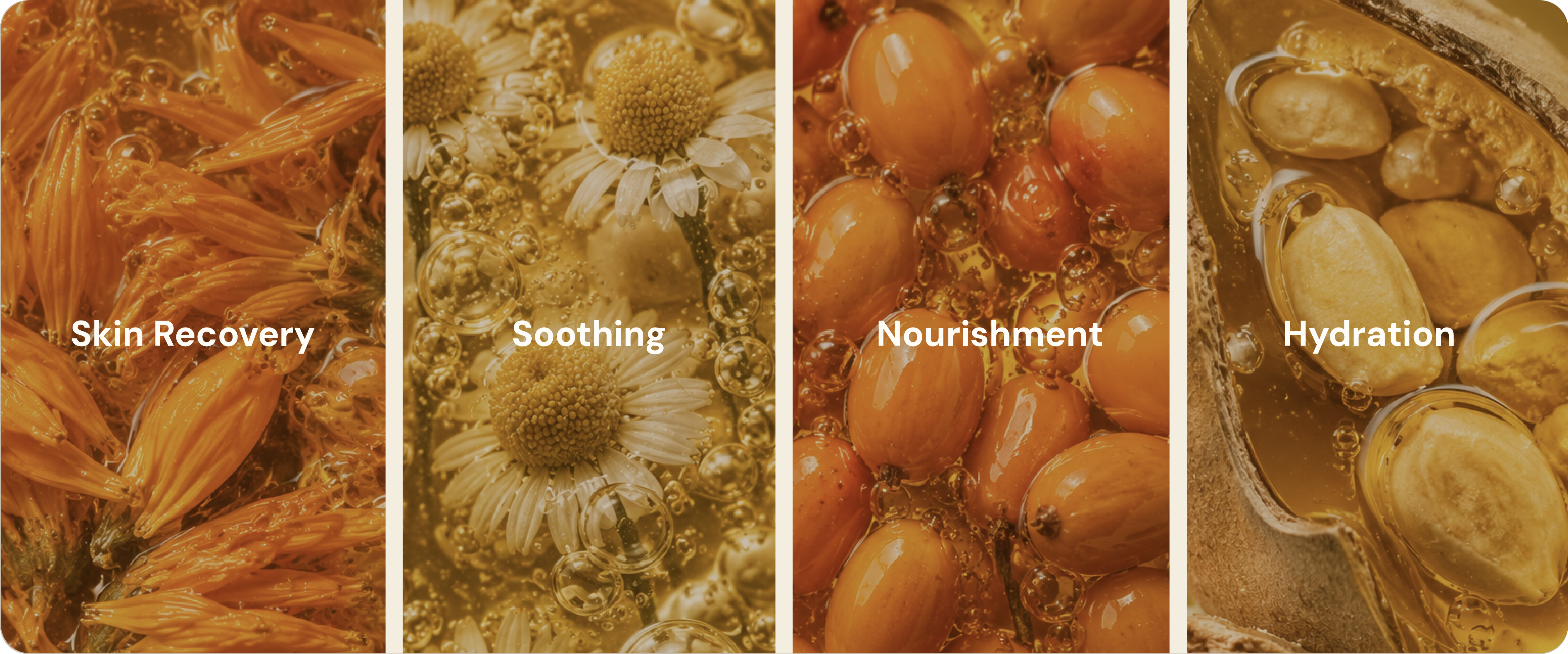 Calendula, chamomile, sea buckthorn, baobab